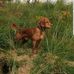 Mark Robertshaw - Facebook