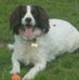 Mark Robertshaw - Facebook