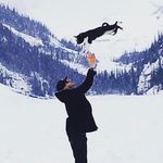 Mark Robertson - @mark_and_winston - Instagram