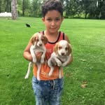 Mark Rocha - @mark.rocha.1276 - Instagram