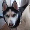 Mark yaich - @mark_rocky - TikTok