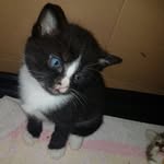 Mark Roe - @mark.roe.37819 - Instagram