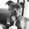 Mark Roe - @mark.roe98 - TikTok