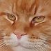 Mark Roesner - Facebook