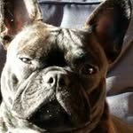 Mark Roelofs - @roelofsmark - Instagram