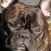 Mark Roelofs - Facebook