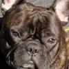 markroelofs181 - @markroelofs181 - TikTok