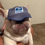 mark - @rojo.mark - Instagram