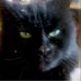 Mark Rolfe - Facebook
