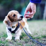 mark rollings - @rollings748 - Instagram