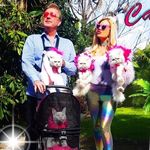 Mark Rollings & Holly Meowy - @hollywoodcatz - Instagram