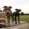 Mark Rollison - @mark.rollison - TikTok