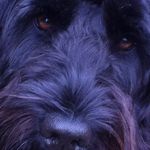 Mark Romaines - @mark.romaines - Instagram