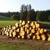 Markus Rombach375 - @markusrombach375 - TikTok