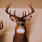Mark Romine - Facebook