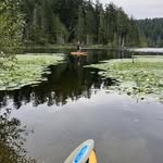 Patricia Brown - @markroop2021 - Instagram