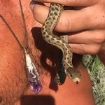 Mark D Root - @snakesacrossamerica - Instagram