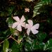 Mark Root - Facebook