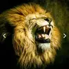Markell Roquemore - @markell.roquemore - TikTok