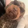 Mark Mccrorie555 - @markmccrorie0 - TikTok
