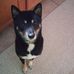 Mark Rosenau - Facebook