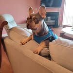 Mark Rosenberg - @rosenberg.mark - Instagram