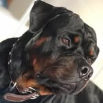 Mark Rott - @mark_tony_luna - Instagram