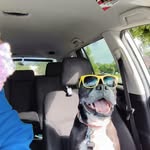 Mark Rozema - @mark.rozema1 - Instagram
