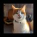 Mark Ruane - Facebook