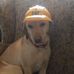 Mark Ruane - Facebook