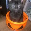 MarkERue - @markerue - TikTok