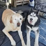 Mark Rumley - @mark.rumley - Instagram