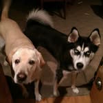 Mark Rumley - @markrumley2 - Instagram