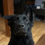 Mark Runyon - @mjr8223 - Instagram