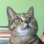 Mark Ruthenberg - @mark_enberg - Instagram