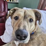 Mark Allen - @mark.rutkowski69 - Instagram