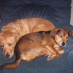 Mark Rutkowski - @msumark81 - Instagram