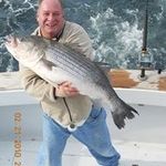 Mark Sabatini - @sabatinimark - Instagram