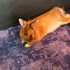 sabinemarks0 - @sabinemarks0 - TikTok