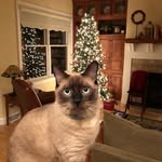Mark Sachleben - @marksachleben - Instagram