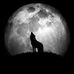 MJ Sachleben-Meyer - Facebook