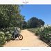 Mark Sachs - Facebook