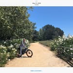Mark Sachs - @nothing.but.net.3 - Instagram
