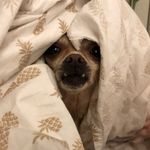 Mark Sackett - @sackmark - Instagram