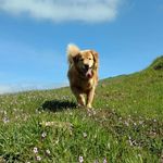 Mark Sadowski - @mark_sadowski_death_proof - Instagram