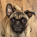 Mark Sadowski - @msadowski805 - Instagram