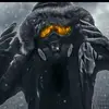 Mark Sailor - @mark.sailor40 - TikTok