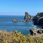 Mark Sainsbury - @masainsbury - Instagram