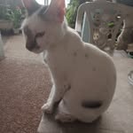 Mark Salvo - @salvombs - Instagram