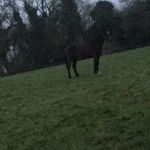 Mark Sampson - @marks9582019 - Instagram